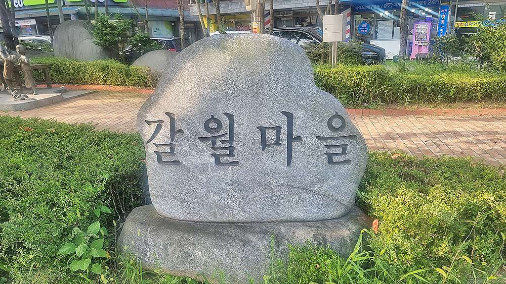  대표사진