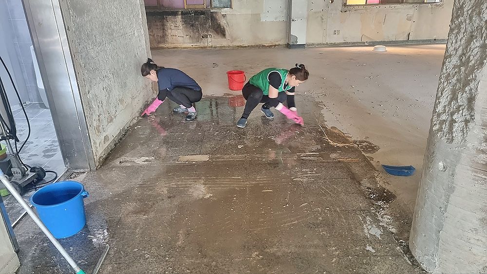 서울 도끼다시 카페트 제거 후 본드제거 청소하는 중입니다.